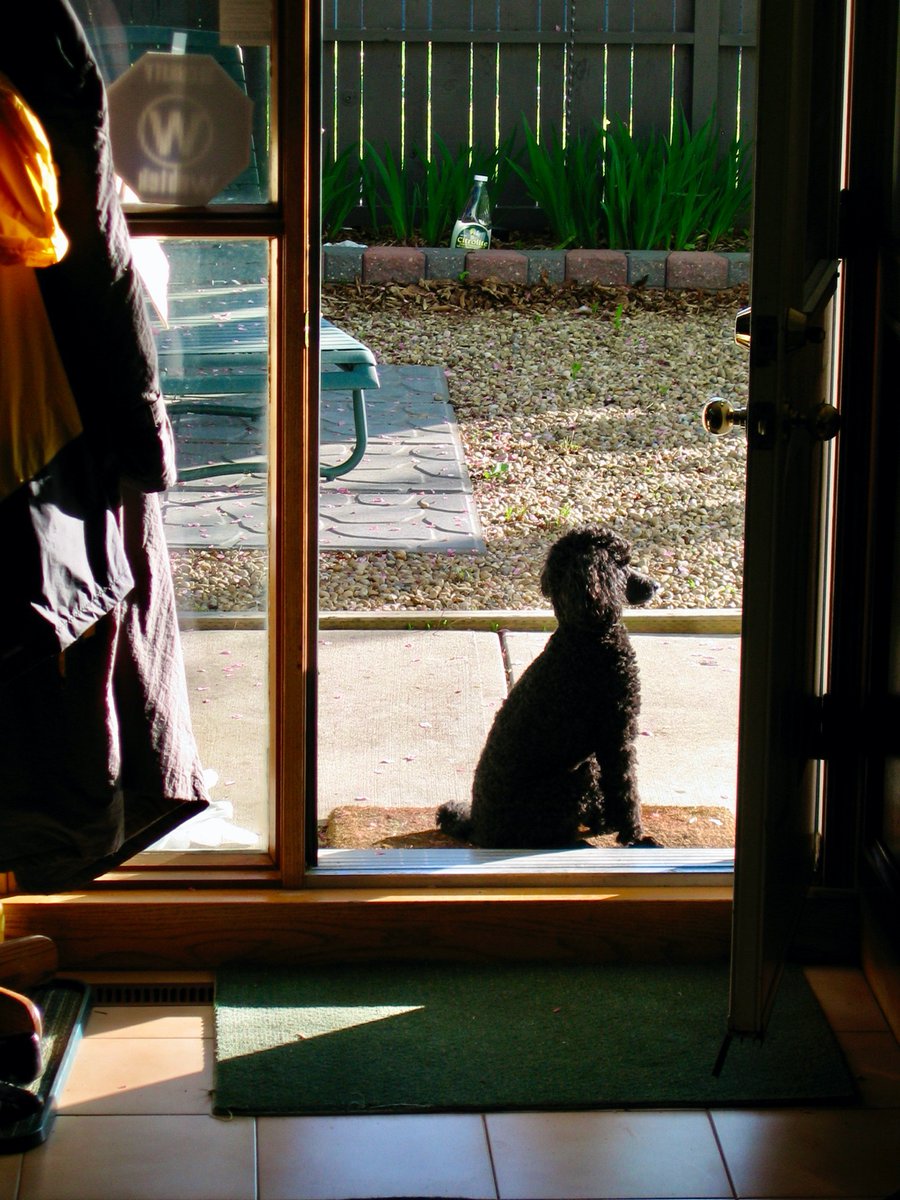 Young Luke sitting just outside the back door