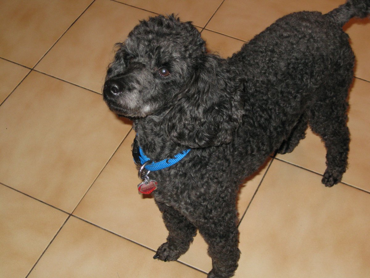 Luke looking up while standing